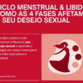 ciclo menstrual e libido as 4 fases do desejo sexual